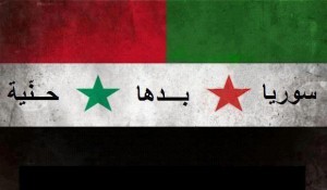 534970_295558703876735_1018776538_n-300x175