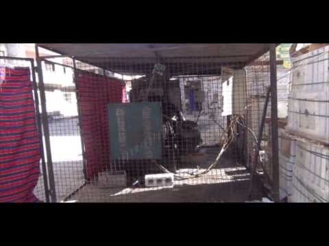 Private Generators Provide Temporary Solution to Electricity Shortage in Idlib