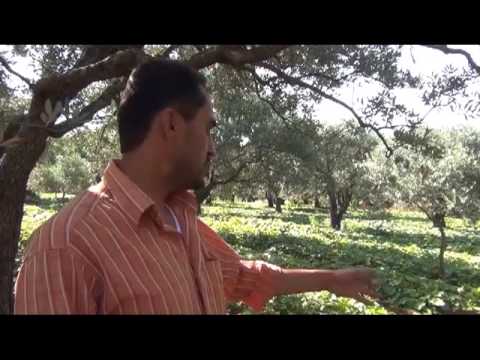 المزارعون في ريف إدلب يشرحون مشاكلهم