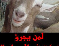 Laughing the fear away