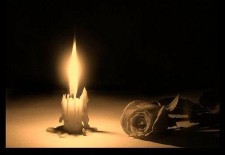 Across the Web Arabs show solidarity with the arrested Tal.