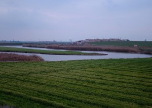 الصورة-لهذا-العام-منظر-لارض-زراعية-300x214