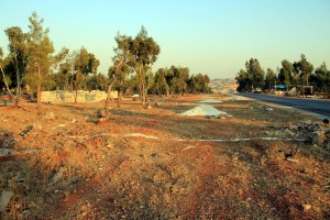 A swath of forest land in Kfar Nabl after being cleared out by one of the residents. Photography by Hazzaa al-Adnan
