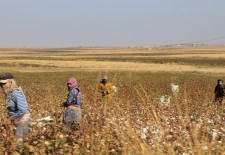 Photoblog: Life Slowly Returns to Normal in Ras al-Ayn (Serekaniye)