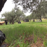 صورة أرشيفية لمعركة بالقرب من إدلب - تصوير عصام عبد الحميد